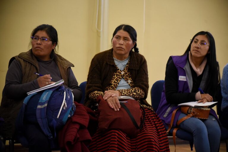 Promotoras comunitarias atienden la capacitación para atención de víctimas de violencia. El Alto, Bolivia. Foto: Gustavo Ticona