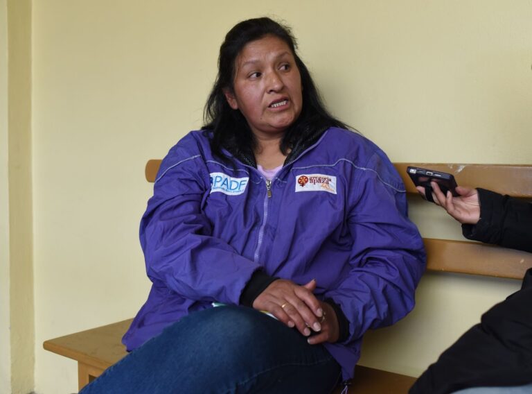 La promotora Dominga Quispe en entrevista. El Alto, Bolivia. Foto: Gustavo Ticona
